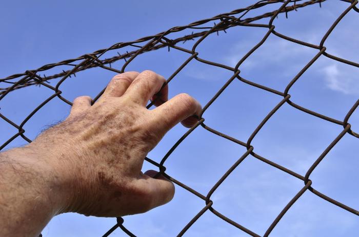 Traição, Covardia e Cinismo: A Vergonhosa Diáspora da Família Bolsonaro