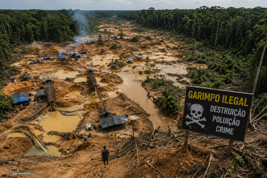 Amazônia continua sob pressão: imprensa internacional volta os olhos para o avanço do garimpo ilegal e as ameaças ao futuro da floresta