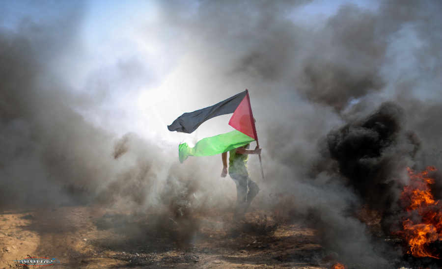 Gaza perde capacidade de produzir seu próprio alimento: apenas 3% das terras agrícolas estão acessíveis e preservadas